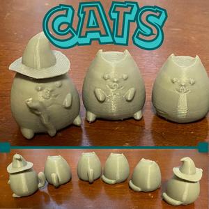 Cute Cats