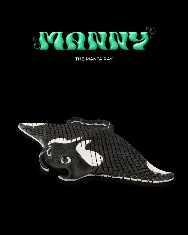 Manny, the Manta Ray 