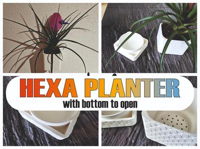 HEXA Planter for Wall mount With Gadget