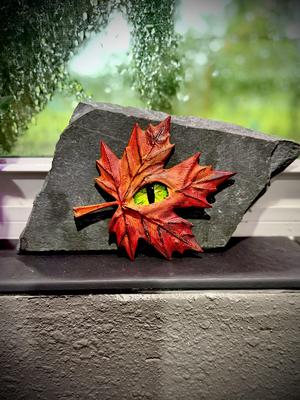 The all seeing leaf