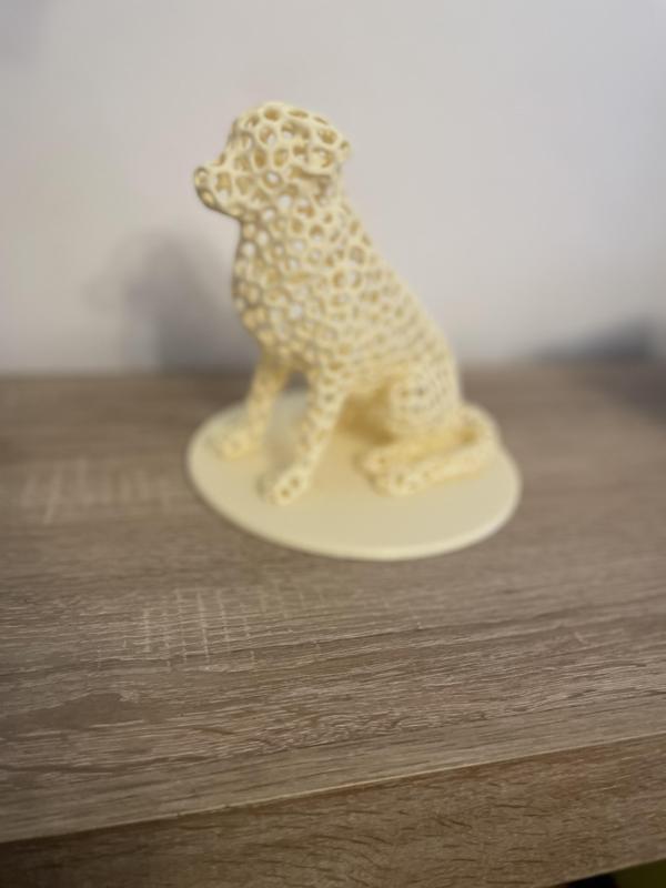 Voronoi Golden Retriever no supports
