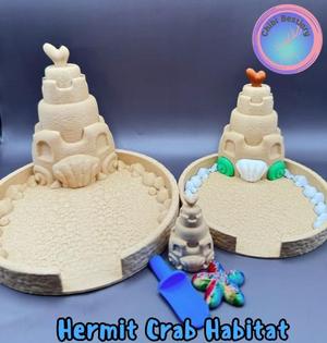 Hermit Crab Habitat