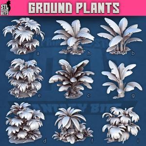 1001 - Ground Plants