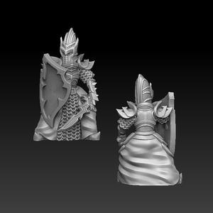 Dark elf warrior with sheld and sword