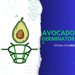 Avocado seed germinator