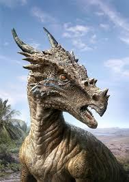 dracorex