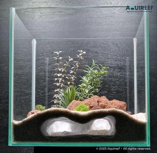 Natural Aquarium Sea Bottom Cave Hide | Shelter for Fish Tanks & Terrariums | Big Visible Openings