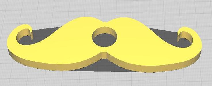 Sousastache