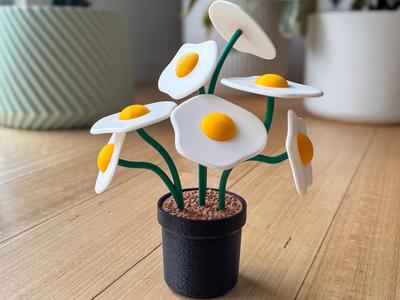 Fried Egg Plant
