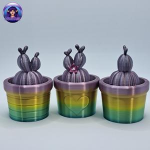 Cactus Surprise