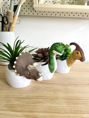 Dino Eggs Set of 3 - Planter / Pot