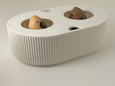 Avocado Double Grower