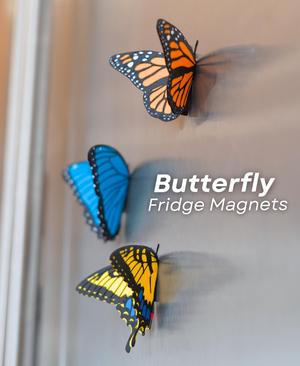 Butterfly Fridge Magnets