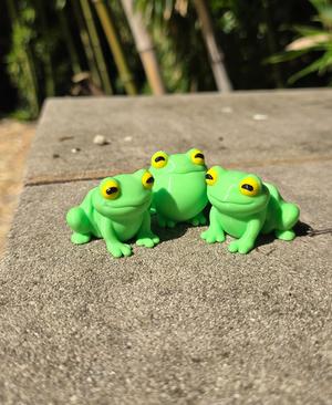 3DL Frogs
