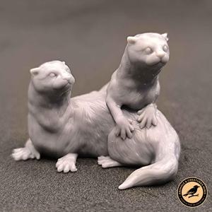 Two otters