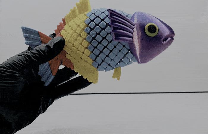 Flexi Rainbow Fish