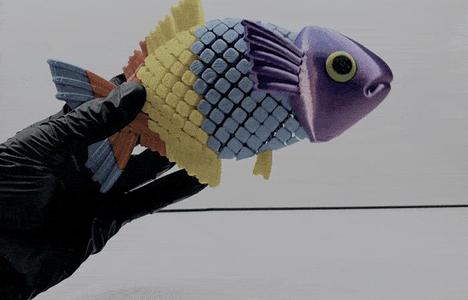 Flexi Rainbow Fish