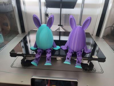 FHW Egg build flexi