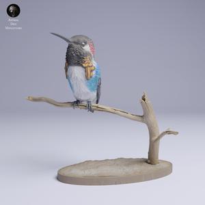 Bee Hummingbird