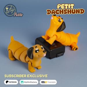 PETIT DACHSHUND