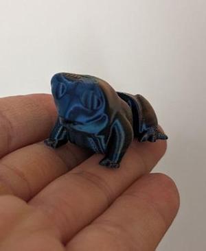 Little Flexi Frog