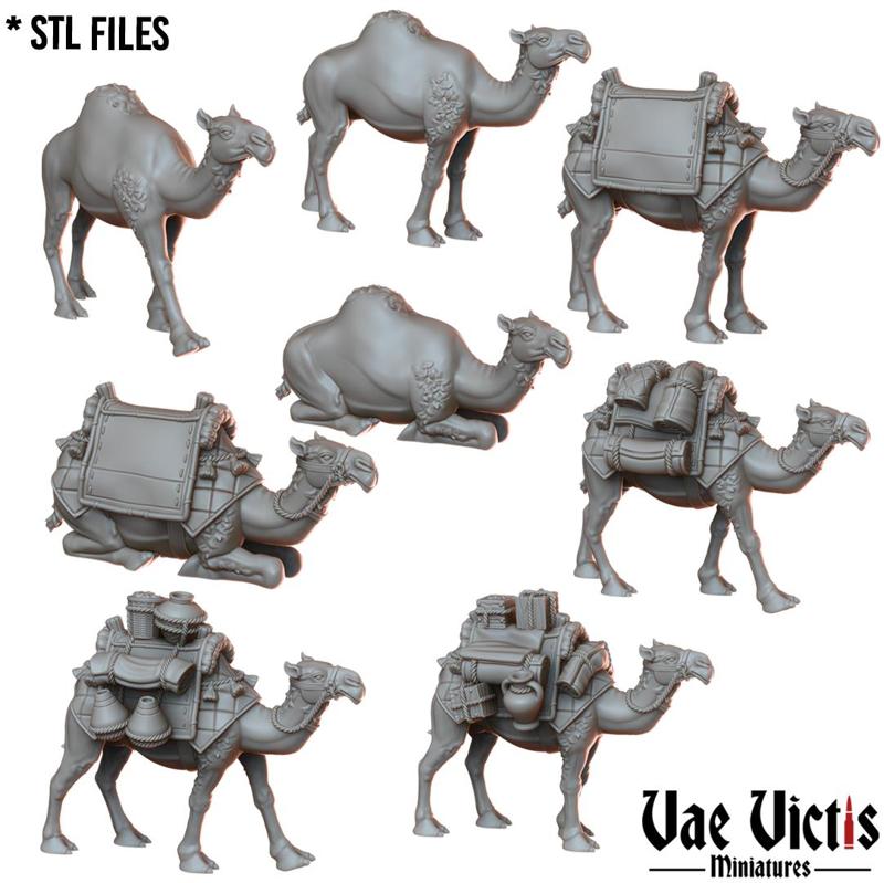 Camels