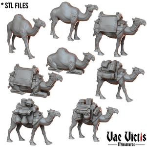 Camels
