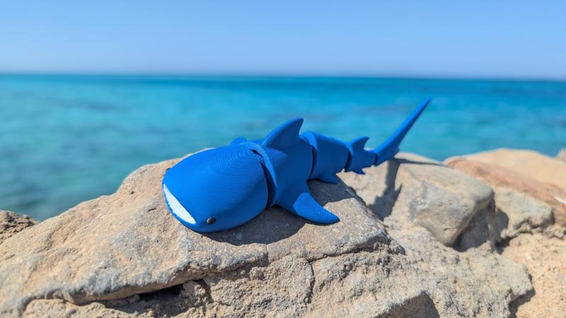 Whale Shark - Articulated Figure