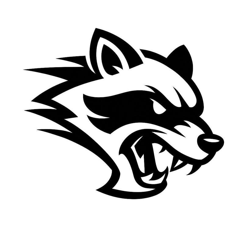 Sloppy Mechanics "Hellcoon"