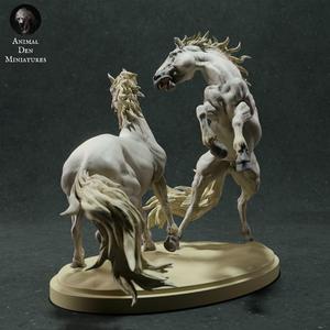 Camargue Horses - Stags Fight