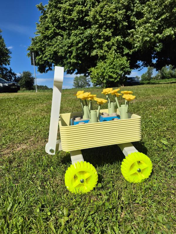 Maxi Carriage