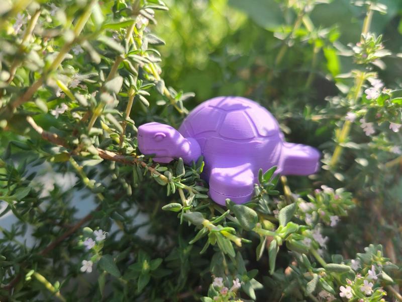 Air Layering Turtle