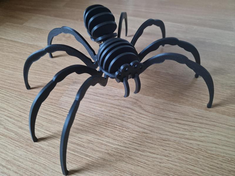 Spider Puzzle (Assembly video included)