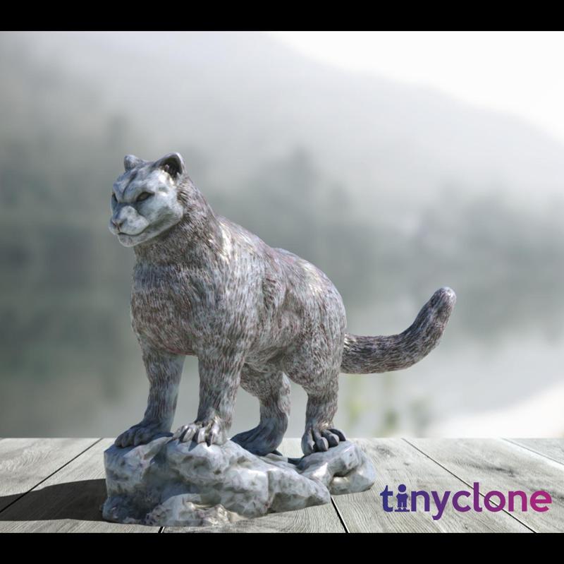 Snow leopard