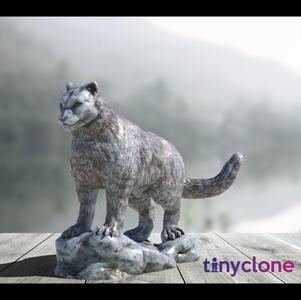 Snow leopard
