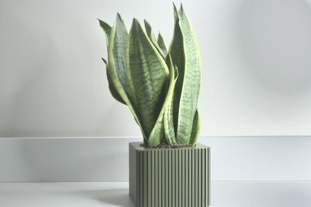 CANETH Vaso Moderno a Linee Verticali per Stampa 3D – Stile Minimal