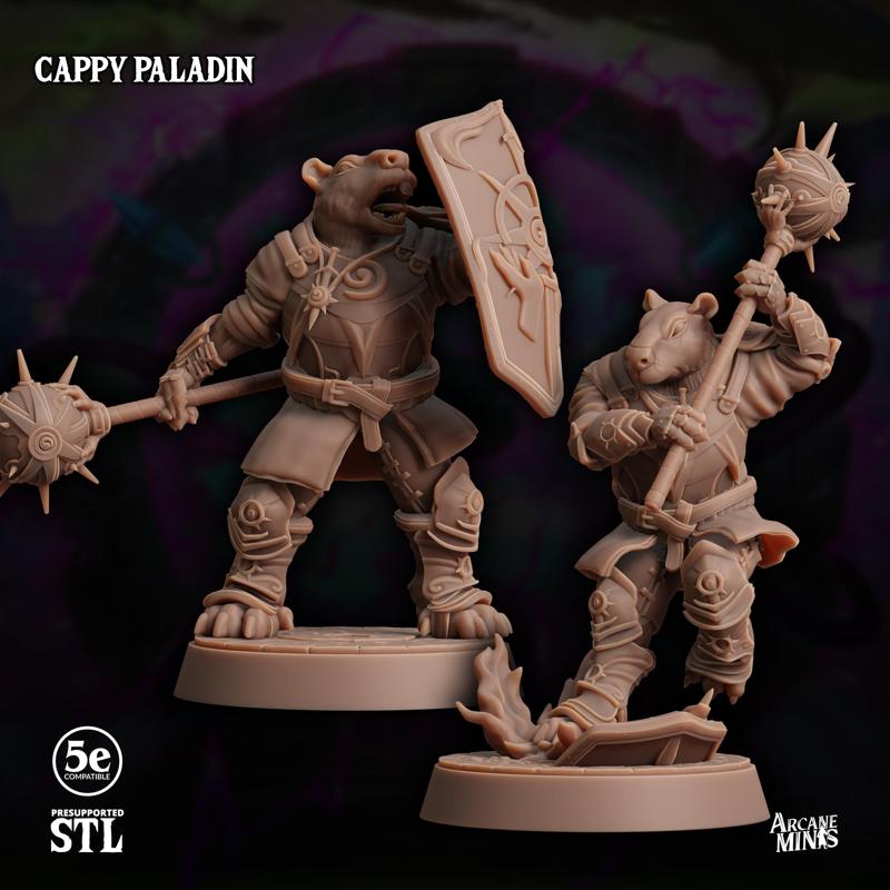 Cappy Paladin