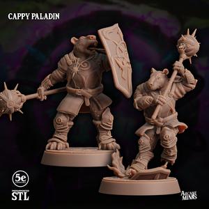 Cappy Paladin