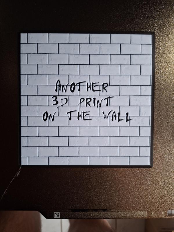 Another 3d Print On The Wall