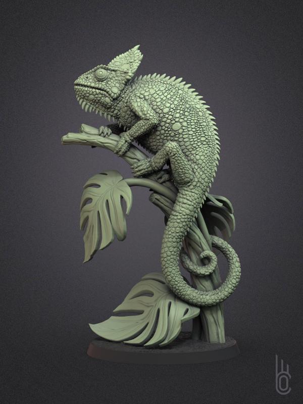 Veiled Chameleon