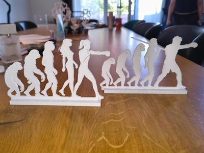 Human Evolution to Boxer – Male & Female