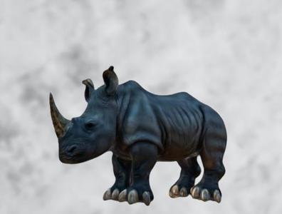 black rhino