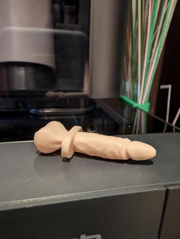 click dick plug for hole P1s