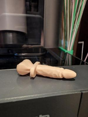 click dick plug for hole P1s
