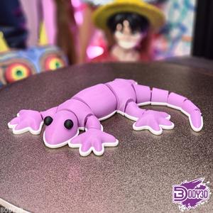 10 Cute Salamanders