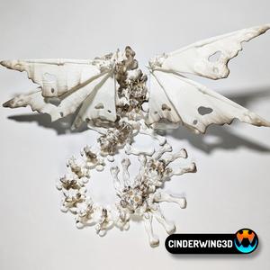 Hollow Dragon