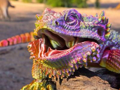 Bearded Dragon - Flexi Lizard