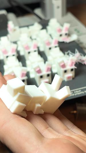 Bloxi - Bunny