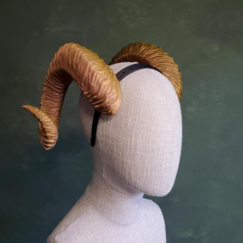 Cadence | Curled Ram Horns