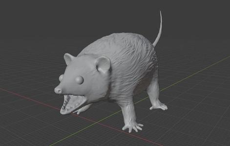 Hissing Opossum